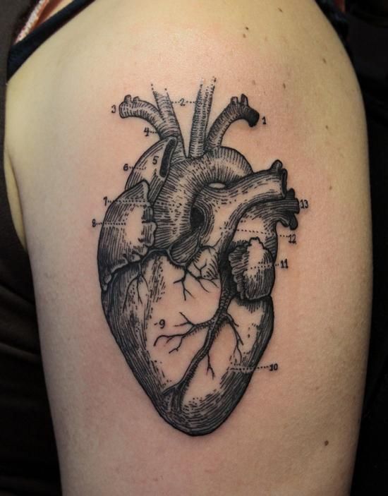 Black & Grey Anatomical Heart Tattoo on shoulder
