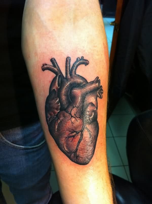 Black and Grey Real human heart tattoo on Forearm
