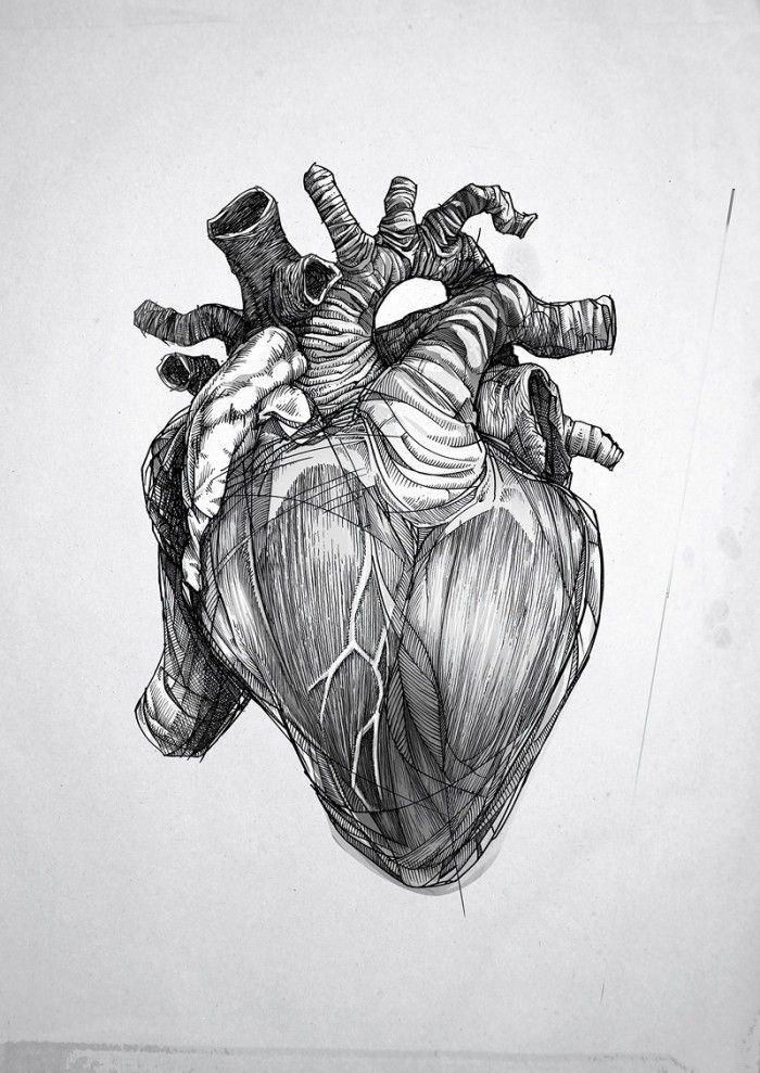 Black and grey human heart tattoo design