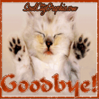 Cat Says Goodbye Glitter