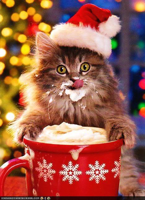 Cute Santa Cat Funny Christmas Image