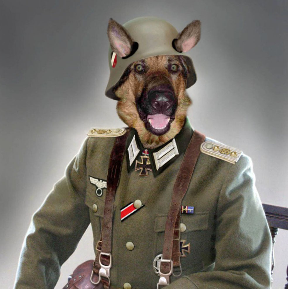 Dog In Army Officer Uniform Funny Picture
