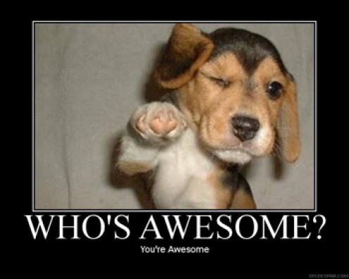 Dog Says You're Awesome