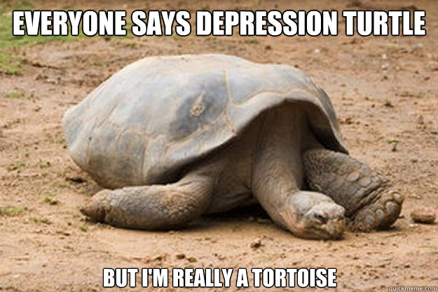 Everyone Says Depression Turtle But I Am Really A Tortoise Funny Meme