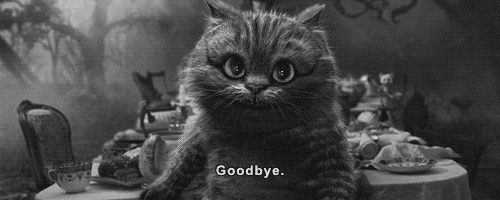 Funny Cat Says Goodbye Gif Image