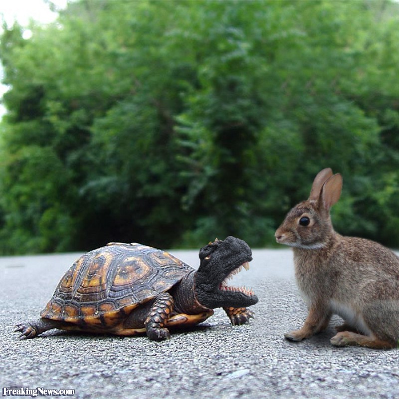 Funny Monster Tortoise Angry With Rabbit