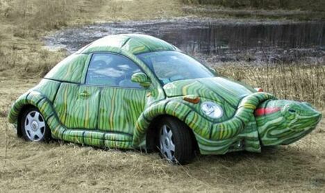 Funny Tortoise Car