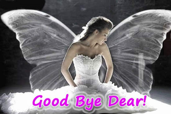 Good Bye Dear Fairy Picture