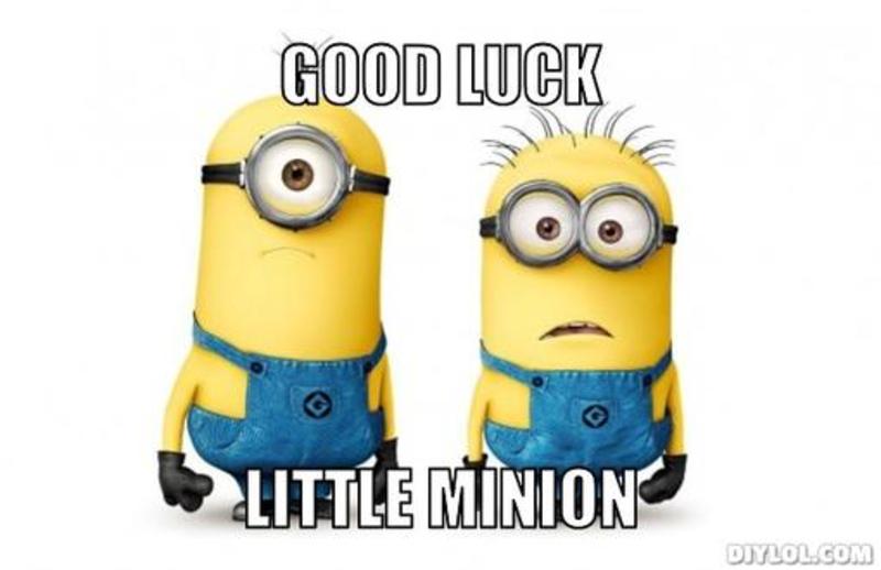 Good Luck Little Minion