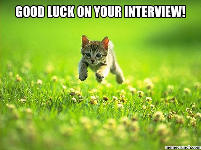 Good Luck On Your Interview Kitten Picture