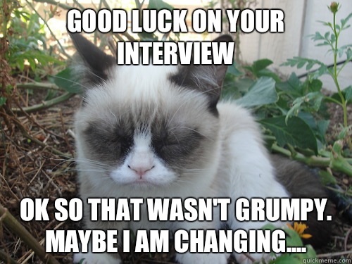 Good Luck On Your Interview Ok So That Wasn't Grumpy May Be I Am Changing
