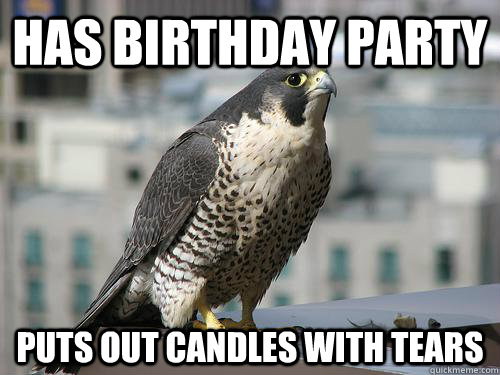 Has Birthday Party Funny Bird Meme