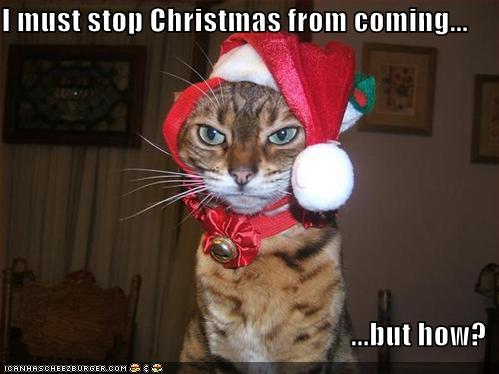 I Must stop Christmas From Coming Funny Cat