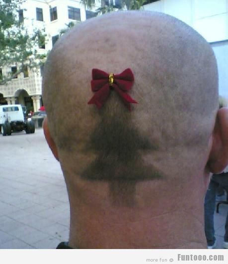 Man With Christmas Tree Hair Style Funny Picture