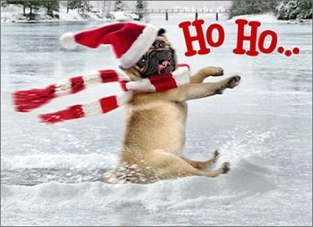 Pug Dog In Santa's Hat Skating Funny Christmas