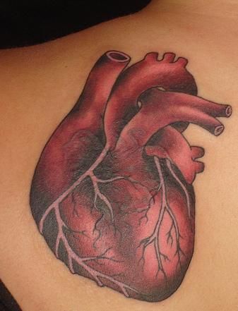 Real Anatomical Heart tattoo on Back Shoulder