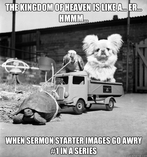The Kingdom Of Heaven Is Like Er Hmm Funny Tortoise Meme