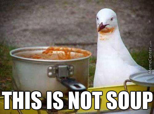 This Is Not Soup Funny Bird Meme
