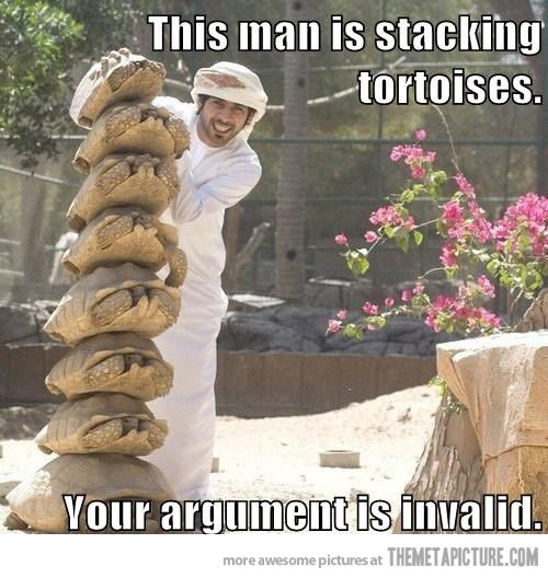 Your Argument Is Invalid Funny Tortoise