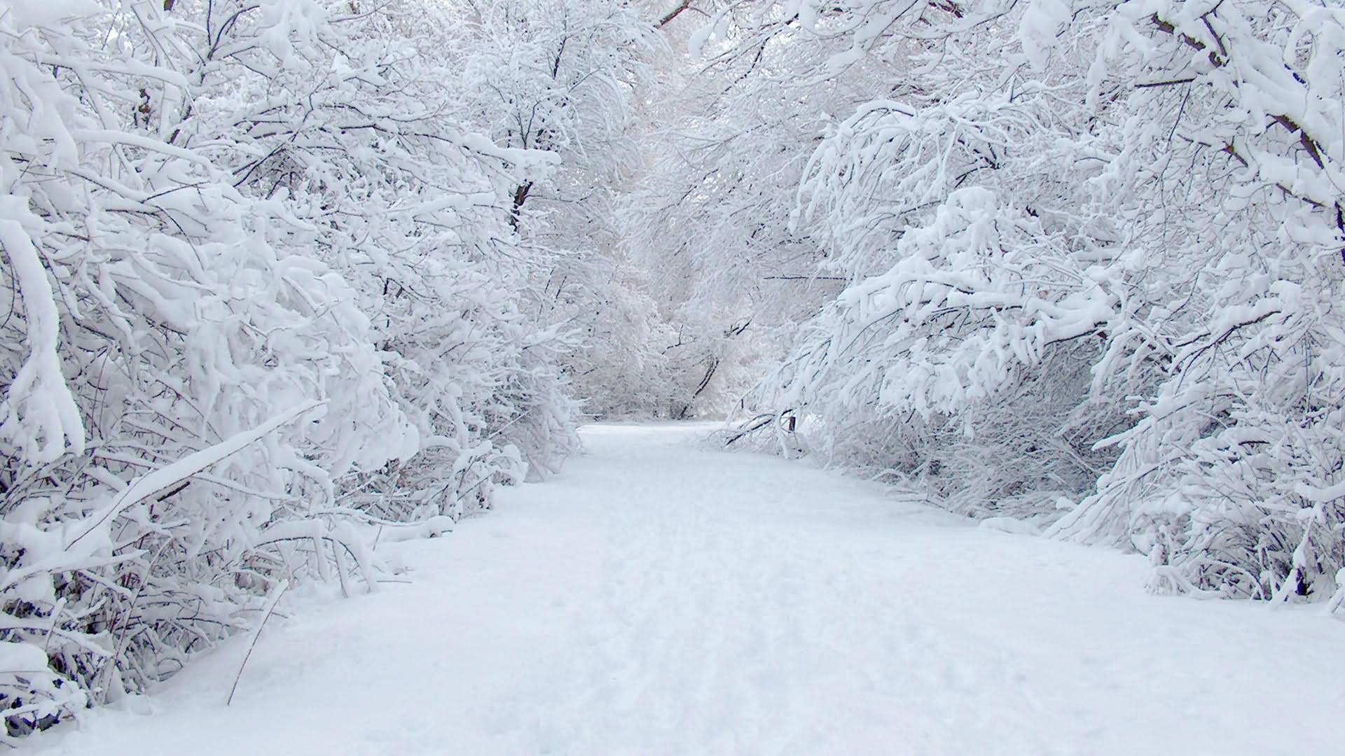 14 Best Winter Wonderland Pictures