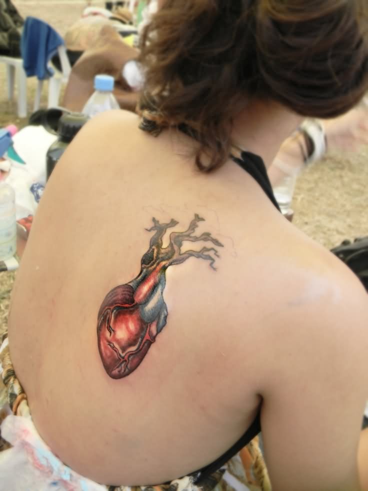 Anatomical Heart Tattoo on Girl's Back Shoulder