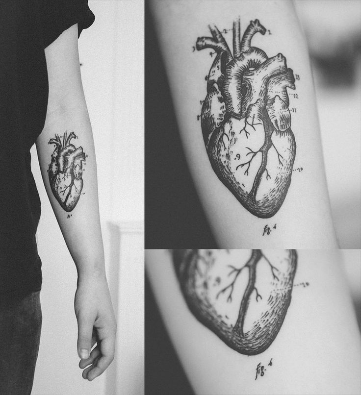 Anatomical Human Heart Figure Tattoo on Arm