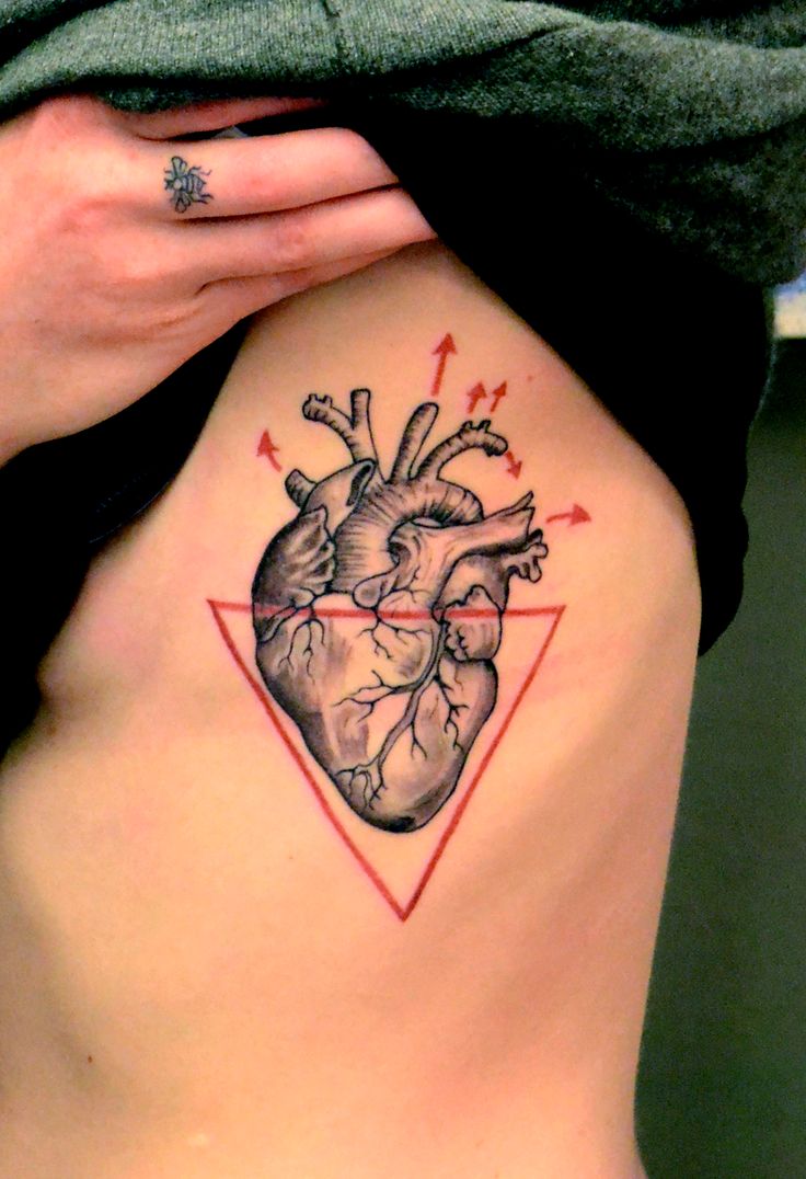 Anatomical heart tattoo with Flow Diagram on Siderib
