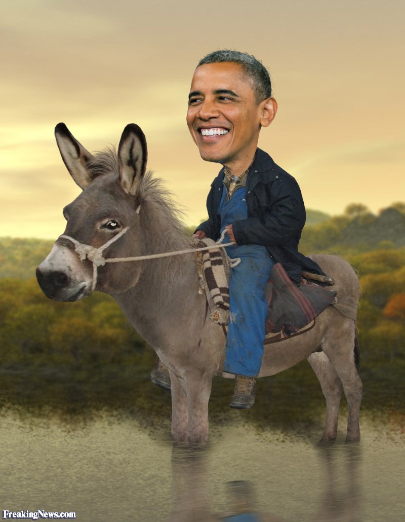 Barack Obama On Donkey Funny Picture For Whatsapp