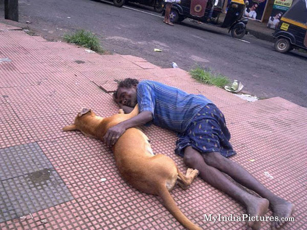 Beggar Funny Sleeping With Dog
