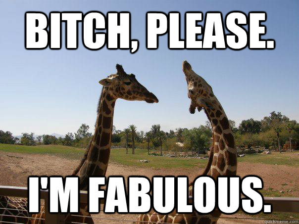 Bitch Please I Am Fabulous Funny Giraffe Meme