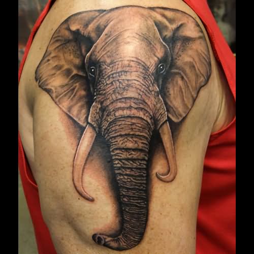 Black And Grey 3D Elephant Head Tattoo On Right Shoulder