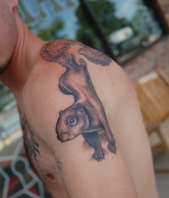 Black And Grey Squirrel Tattoo On Man Left Shoulder