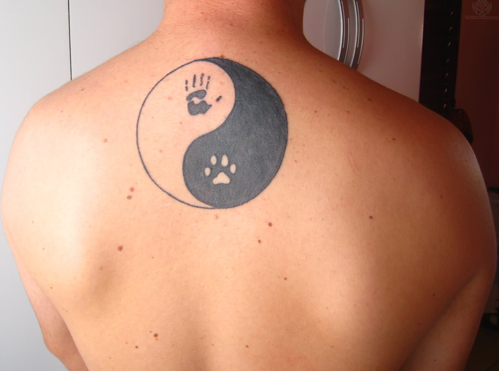 Black Hand Print And Paw Print In Yin Yang Tattoo On Man Upper Back By Rene