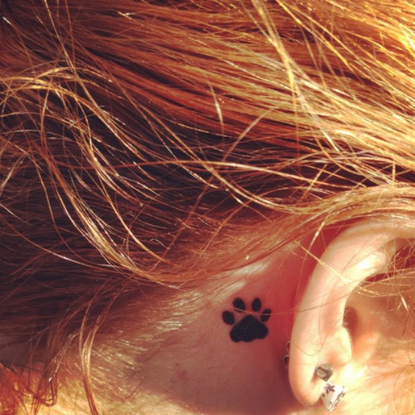 Black Paw Print Tattoo On Girl Behind The Ear