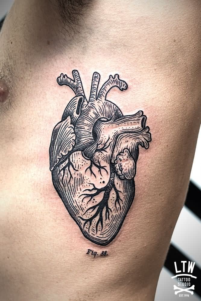 Anatomical Heart Tattoos 