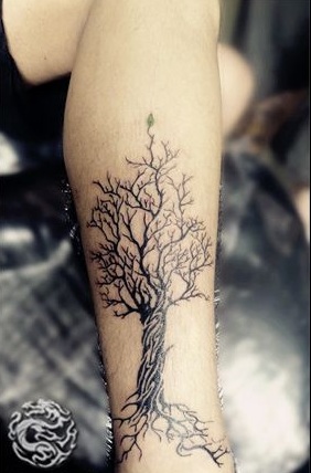 Black Without Leaves Tree Tattoo On Girl Leg