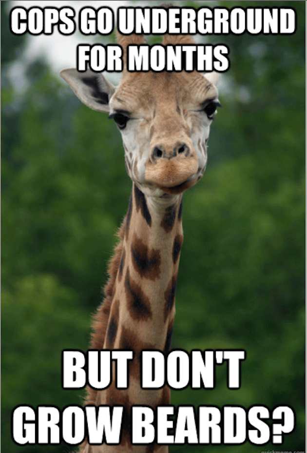 But Don't Grow Beards Funny Giraffe Meme