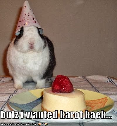 But I Wanted Karot Kaek Funny Rabbit Caption