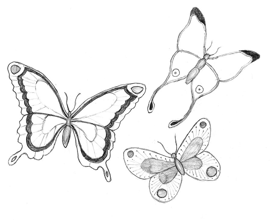 Butterflies Tattoo Stencil by balloon-fiasco