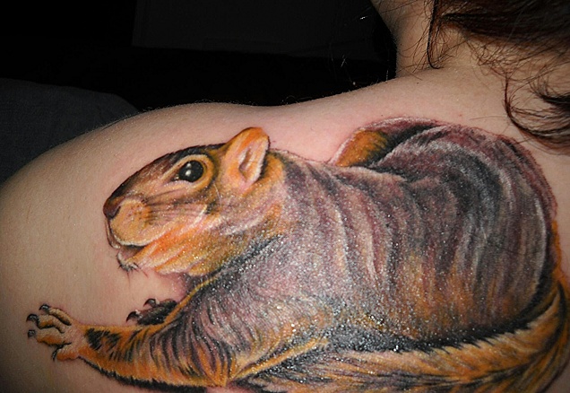 Colorful Squirrel Tattoo On Girl Left Back Shoulder