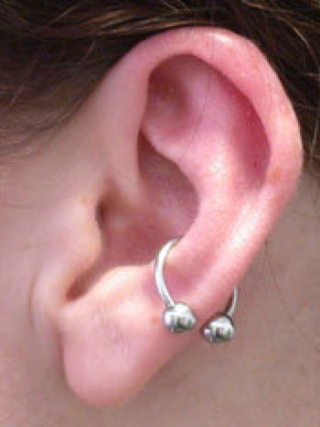 Conch Piercing With Silver Circular Barbell