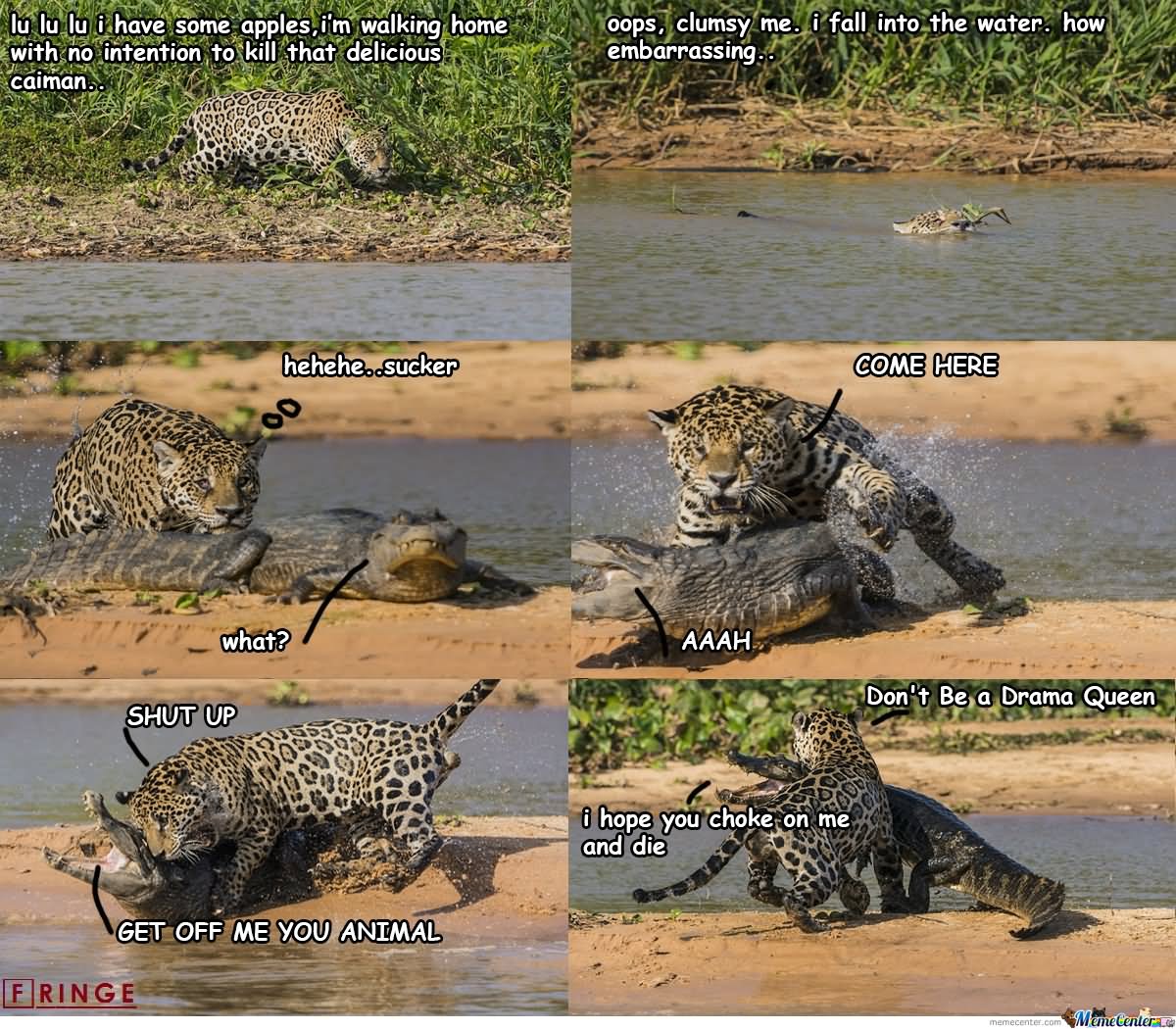 Crocodile And Leopard Fighting Funny Nature
