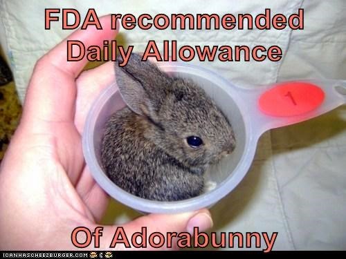 Daily Allowance Funny Rabbit Meme