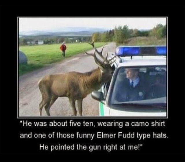 Deer Hunting Funny Image
