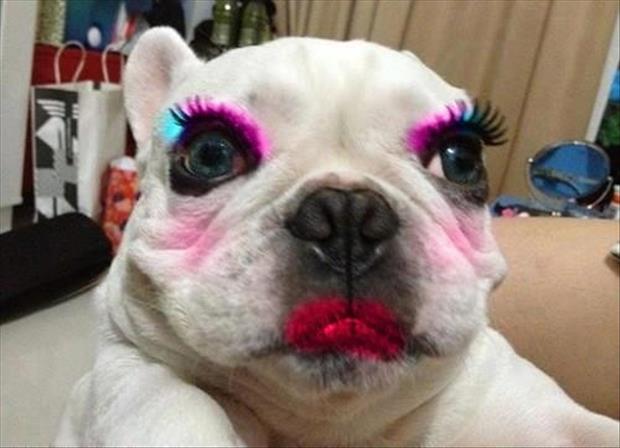 Dog Funny Makeup Face