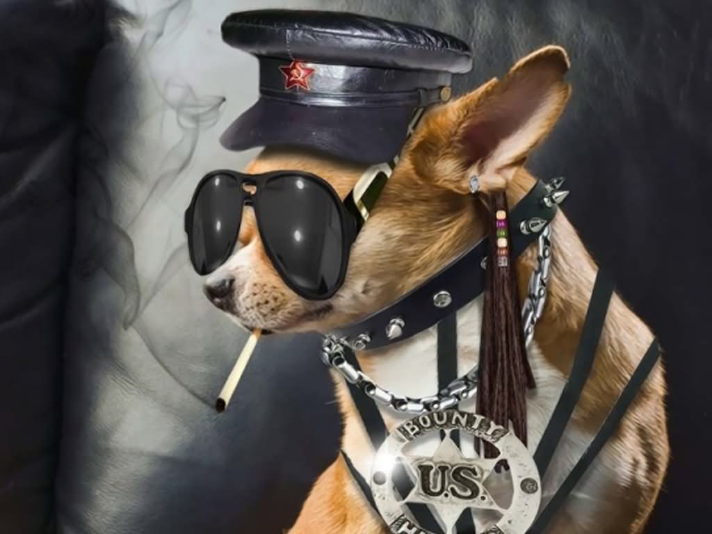 Dog In Police Dress Funny Pet
