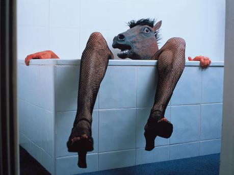 Donkey Bathing In Bath Tub Very Funny Picture