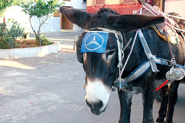 Donkey Cart With Mercedes Logo Funny Image