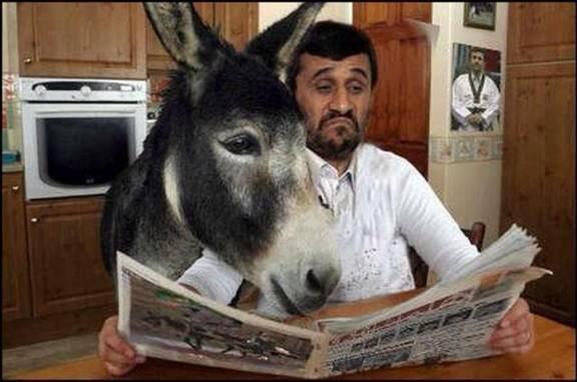 Donkey Reading Newspaper Funny Image For Facebook
