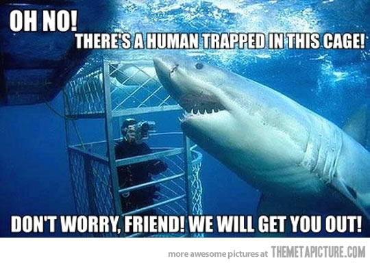 Don't Worry Friend We Will Get You Out Funny Swimming